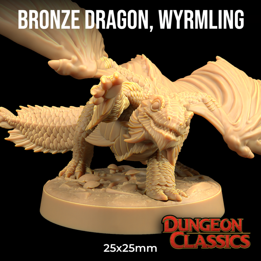 Dragón de Bronce Wyrmling