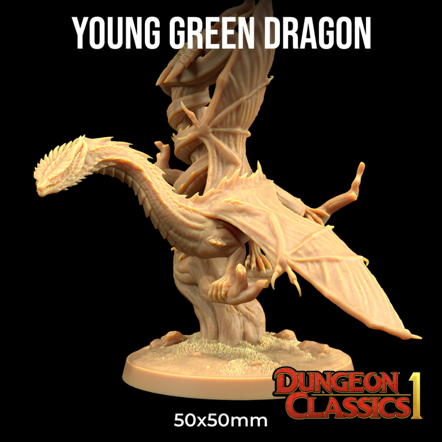 Dragón Joven